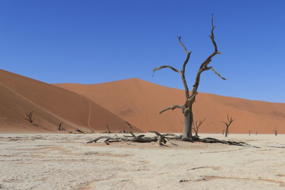 納米比亞旅遊記錄 NAMIBIA
