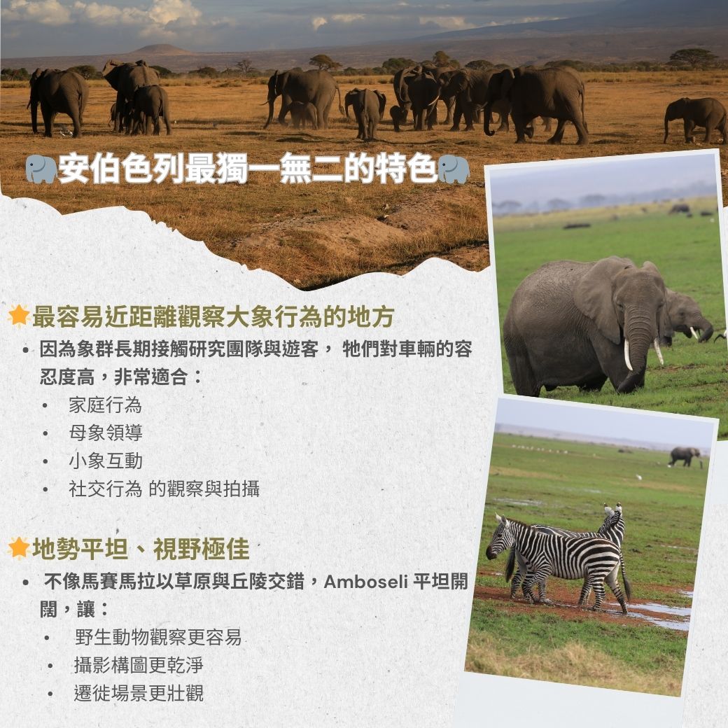 Amboseli4.jpg