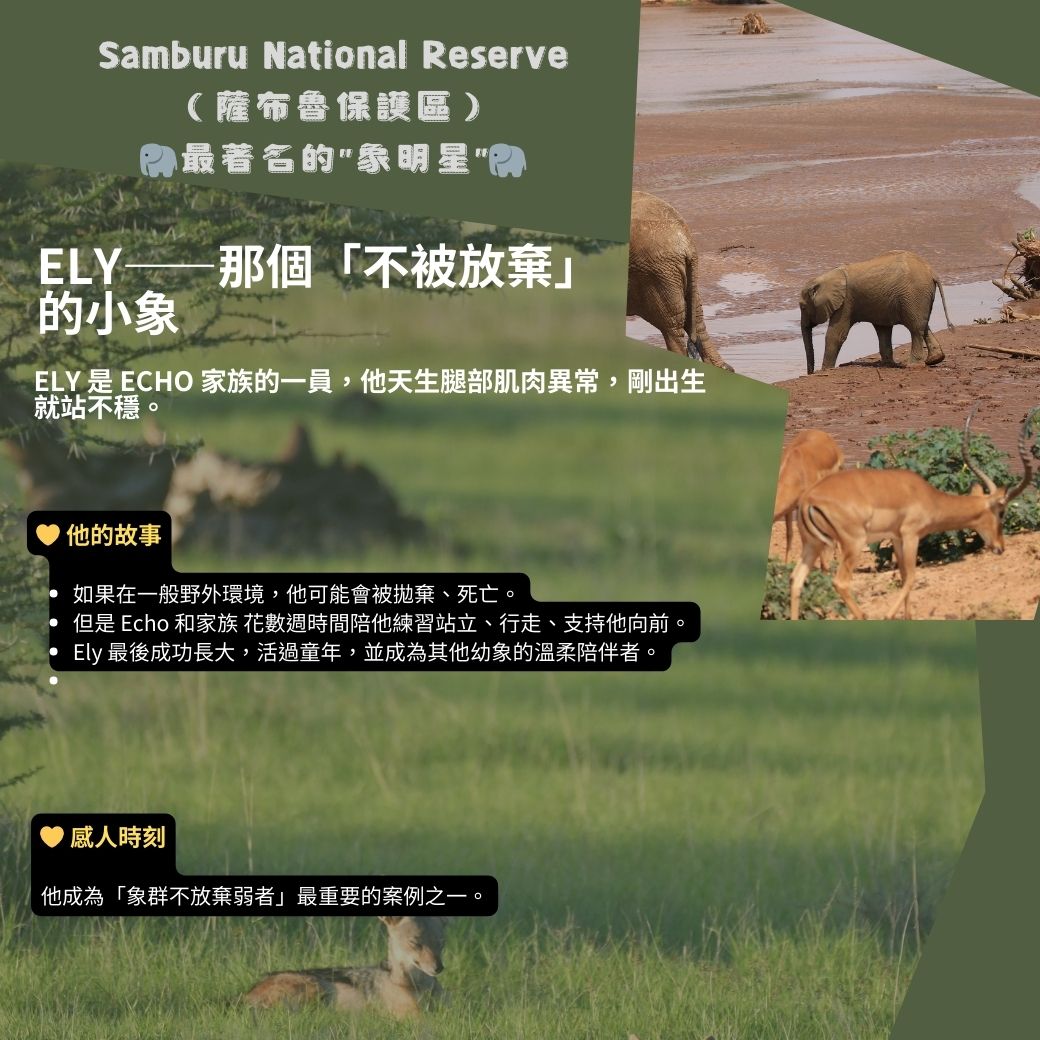 Samburu4.jpg