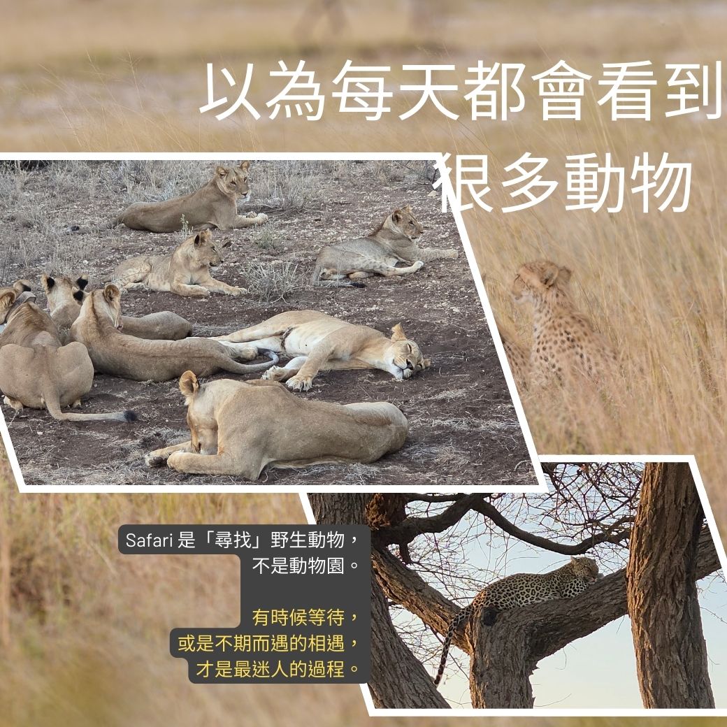 肯亞8個誤解3.jpg