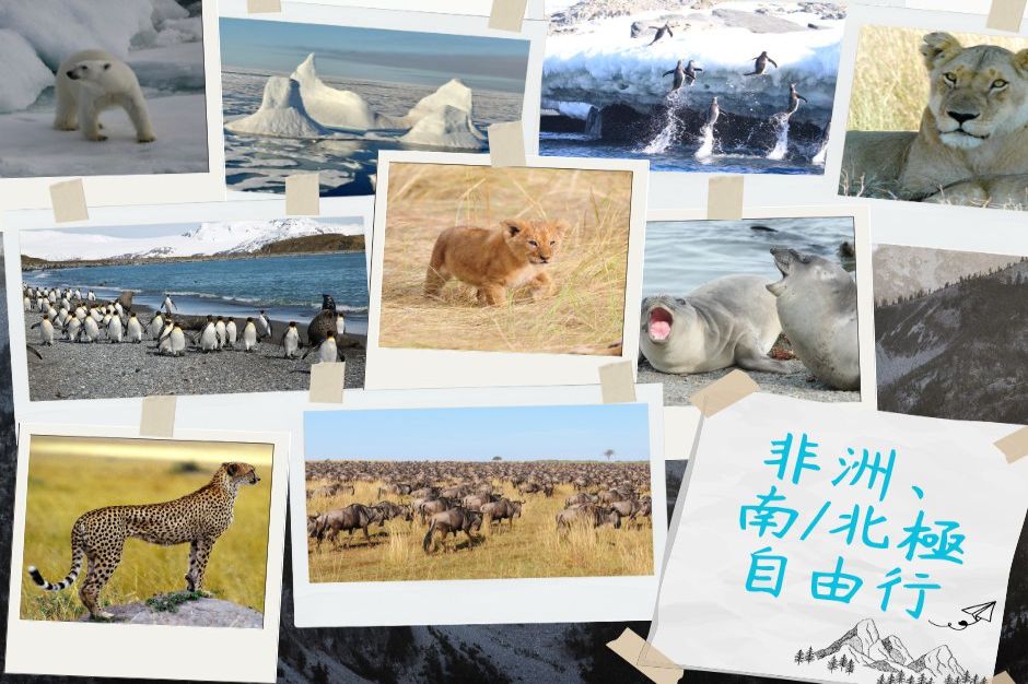 獨一無二~自由行