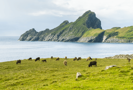 Inner Hebrides1.png