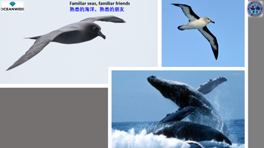 圖片8.png