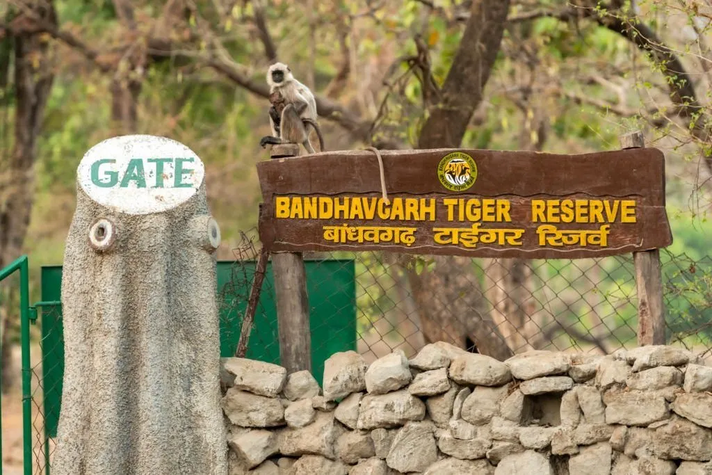 bandhavgarh-national-park-gate.webp