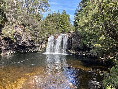 pencil-pine-falls-from.jpg
