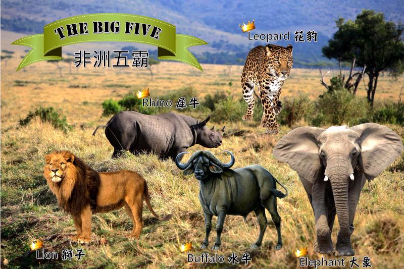 The Big Five