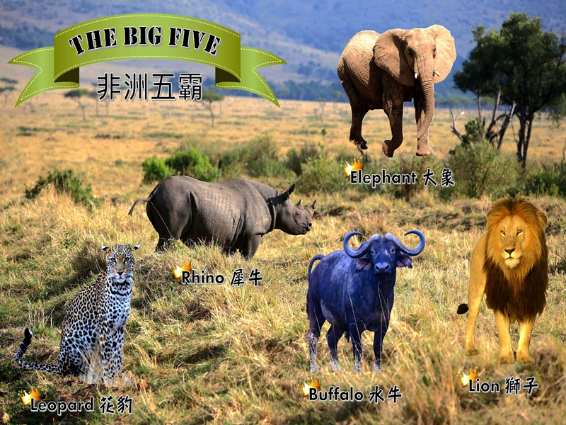 The Big Five 