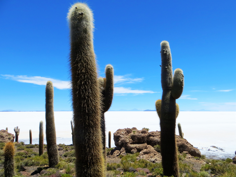 Uyuni 02